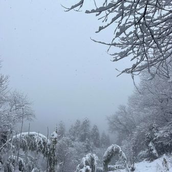 のぞみの丘から