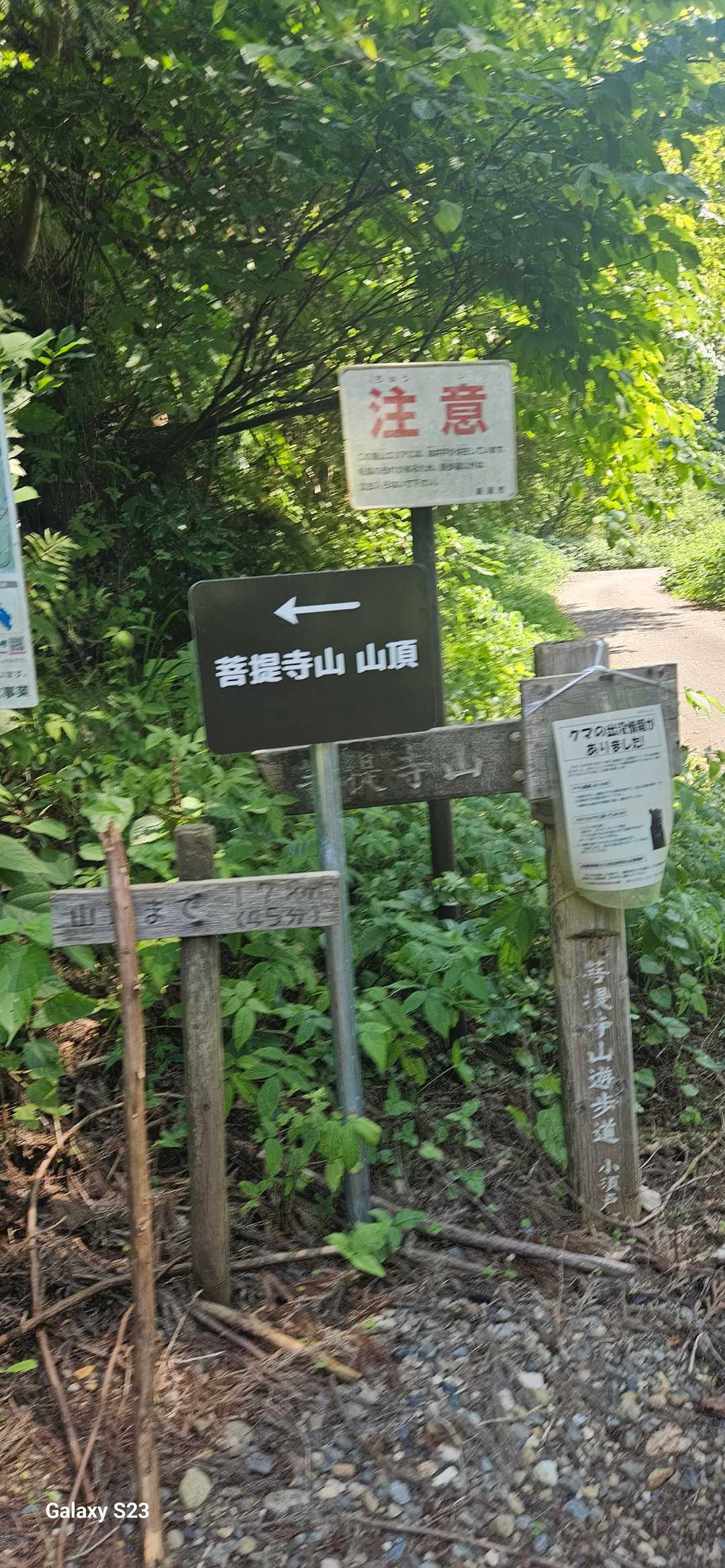 大沢公園登山口下山