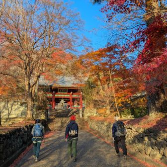 ワクワク、ドキドキ