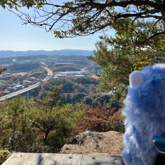 岐阜県民のみなさん、おはよう☀️