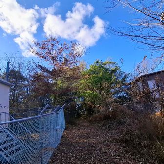 
双子山北峰に登頂