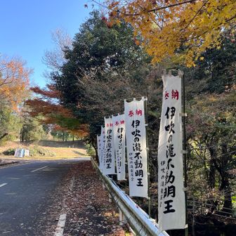 戻ってきました