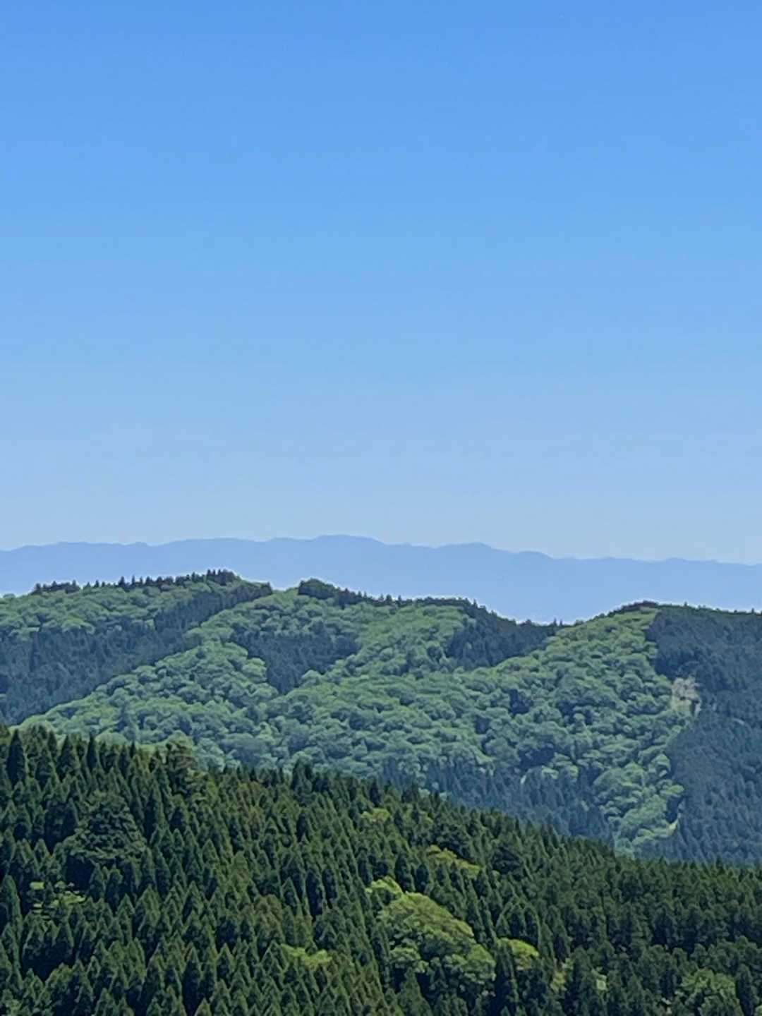てことは、鎌ー😆✨とか、鈴鹿の方が見えてる🎶