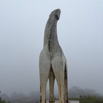 白馬