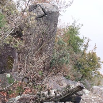 お立ち台
今回は見るだけ😁