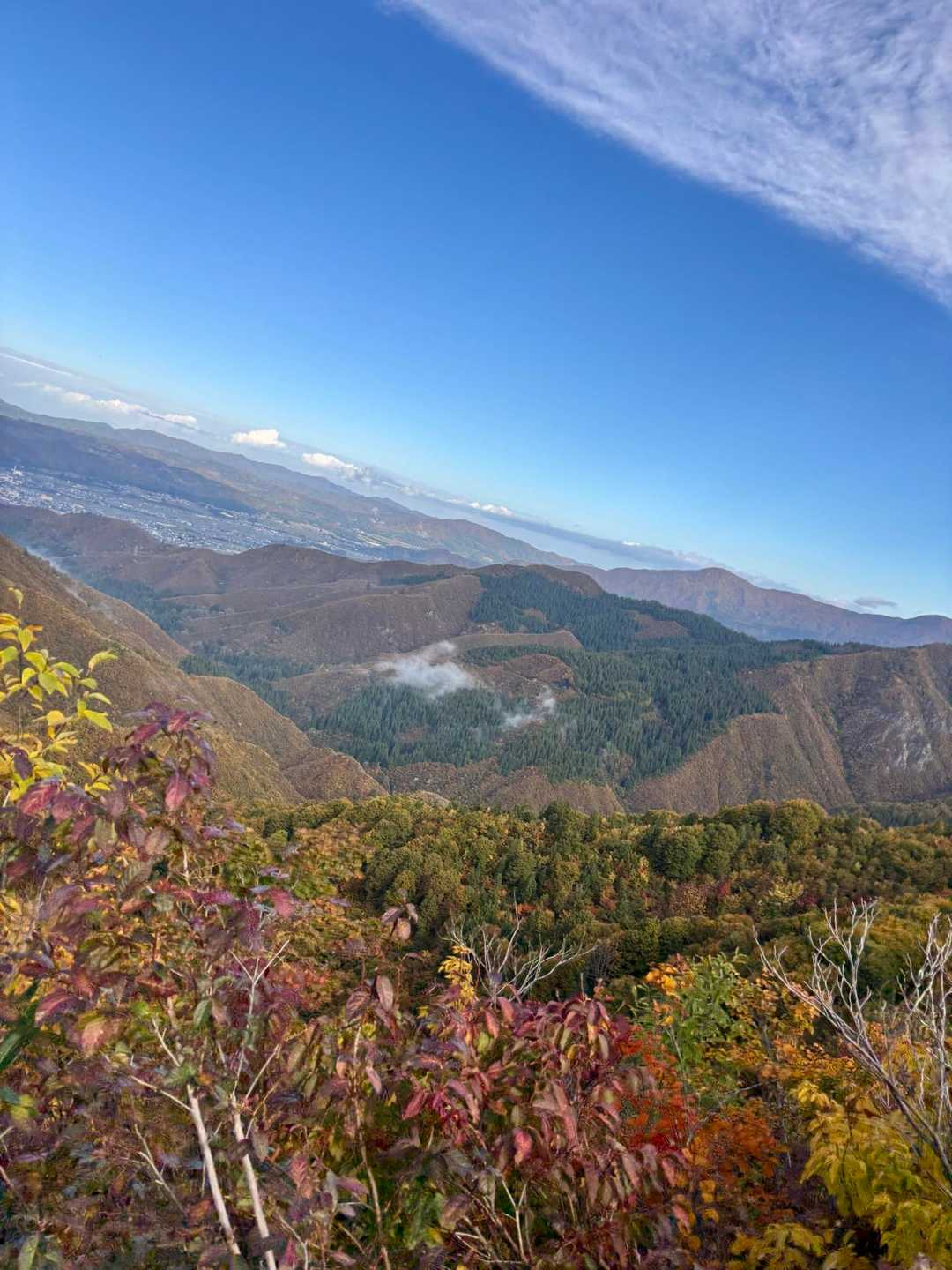 あさの土砂降りはどちらへ？