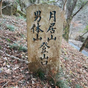 降りてきました