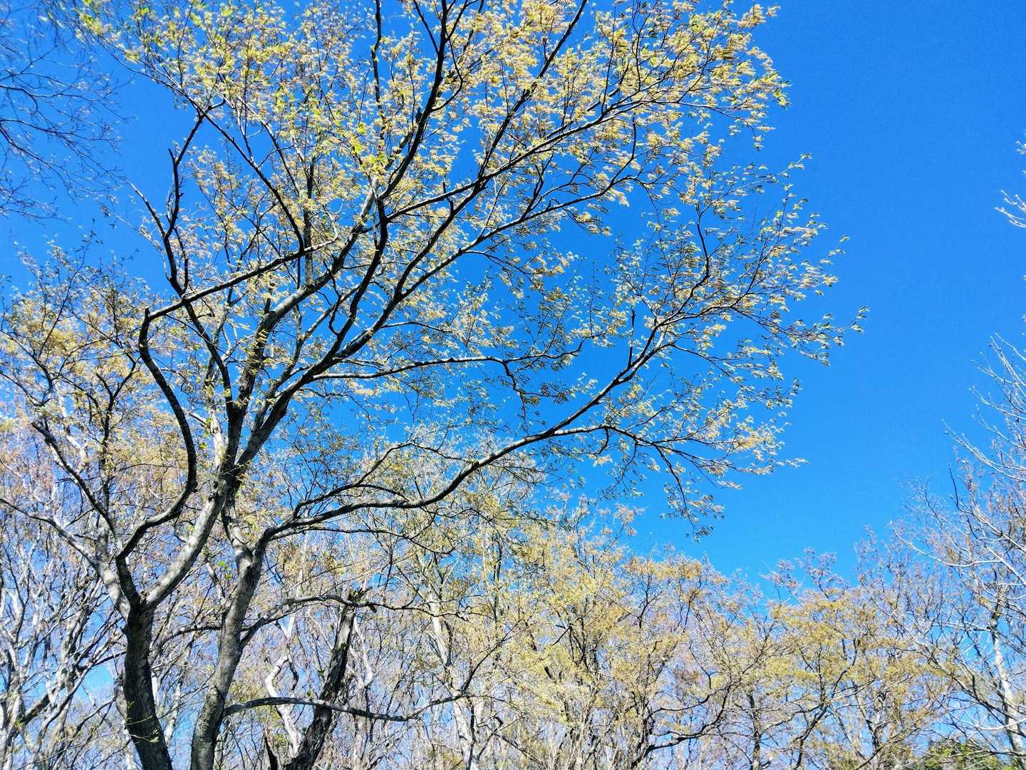 今日は雲☁ひとつ無い快晴☀
清々しい～🎵