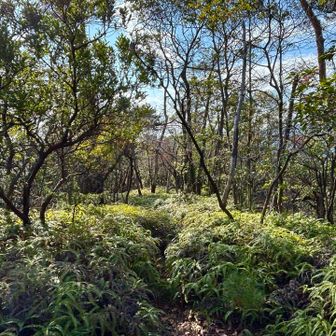夏は蜘蛛の巣が多そうなところ
夏は来たくない