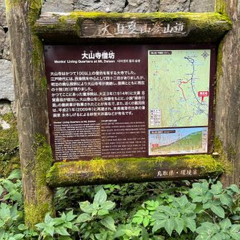 登山道出発しました　ご飯食べ過ぎたかな、身体が重い😅　💦、ムシムシ