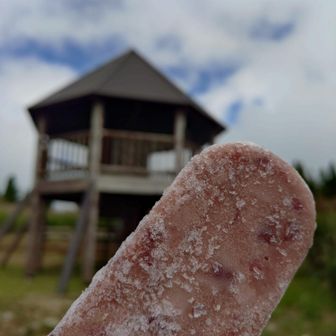 東屋の前で🍧
