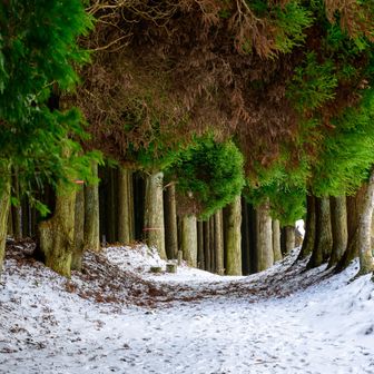 駐車場までテクテク