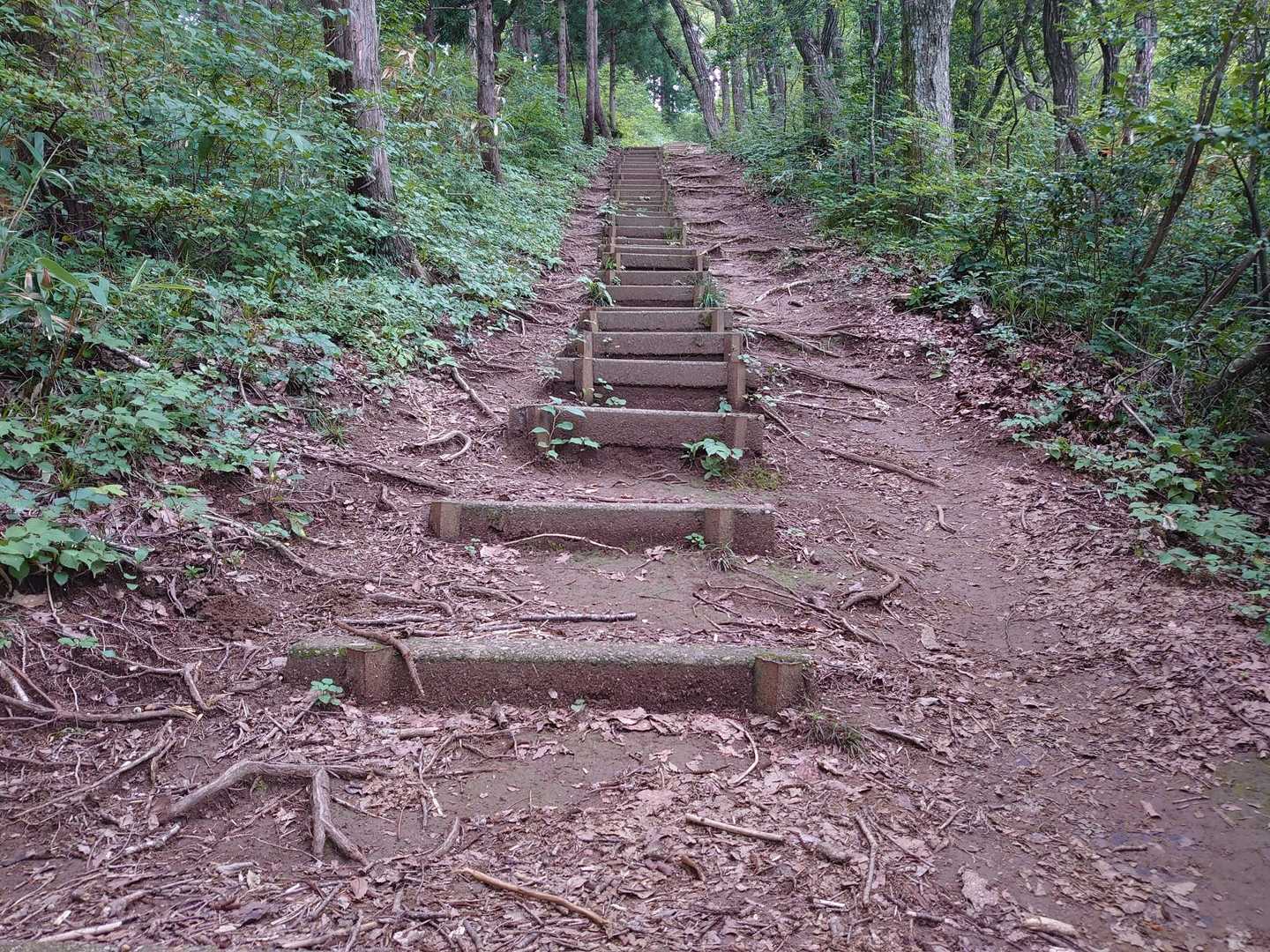 結局階段をトントン飛び降り下山。