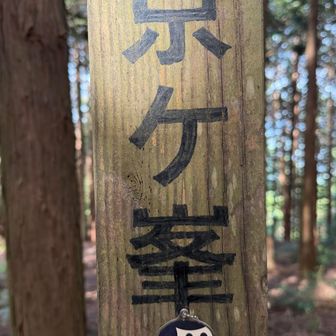 31座目京ヶ峯到達
ここも広い山頂空間だった
標高432mは南部エリアでは最高峰となる
樹々に覆われ眺望はないので少しの滞在でリスタート