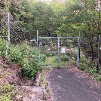 ゲートから入って、直ぐに左折すると登山道がある。直進すると川。