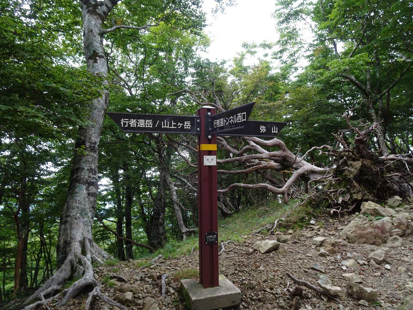 鉄山-修覆山-弥山-聖宝ノ宿跡-弁天ノ森-弥山登山口 周回コースの写真