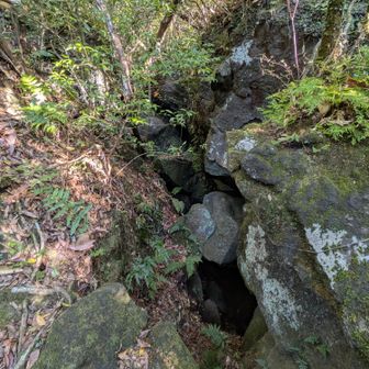 すぐに洞窟、仙人洞
開聞岳が噴火した時に溶岩がせり上って出来たもので、山伏達の修行の場として使われていたそう。