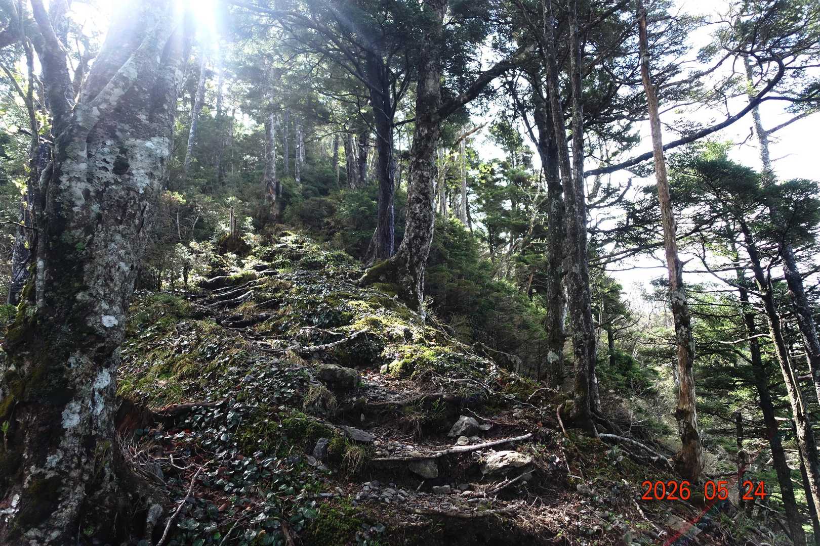 池口岳登山口-黒薙-利検沢ノ頭-池口岳 往復コースの写真