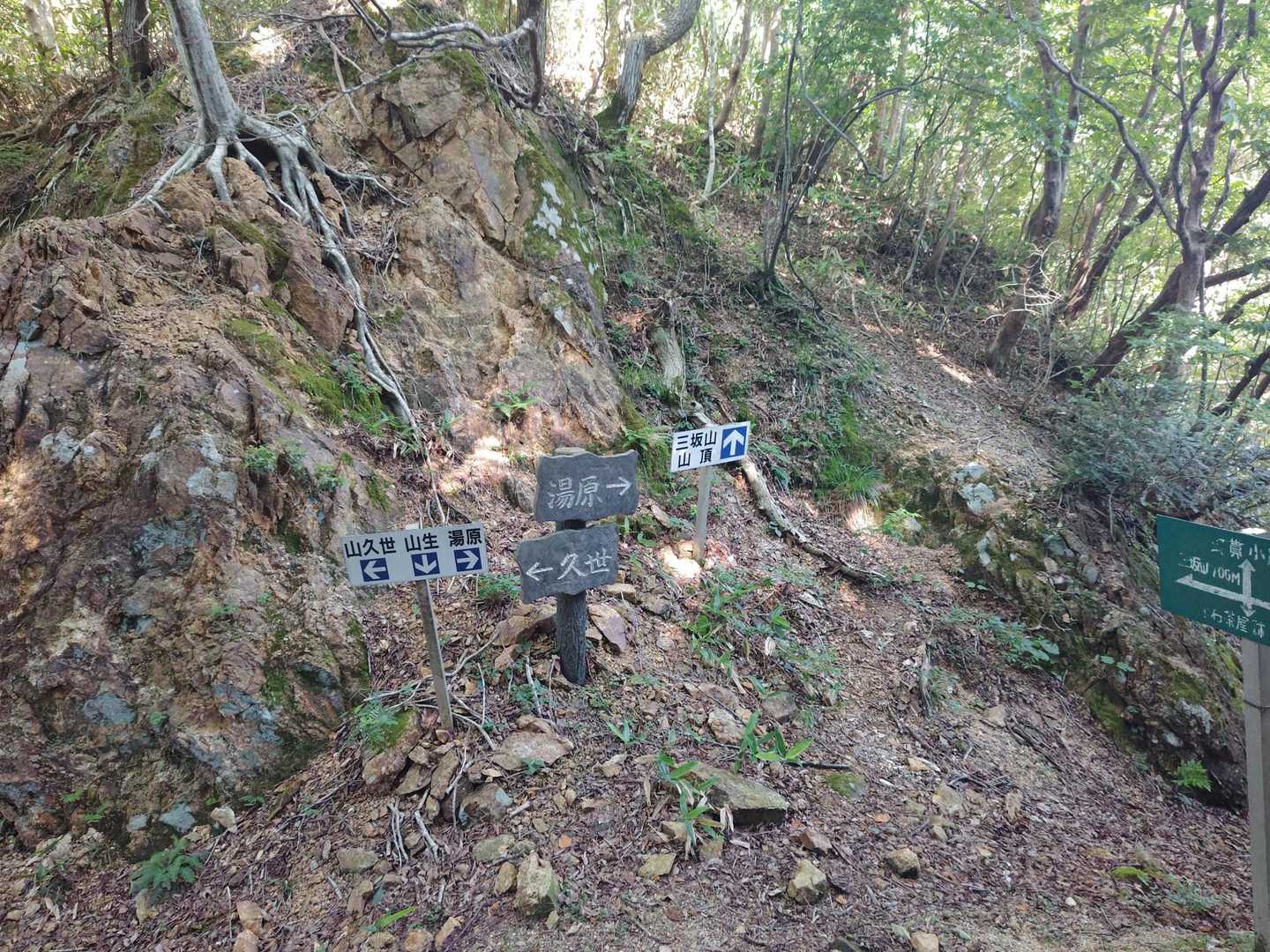 分岐点到着
登りは直進
下りは左から下ってきました