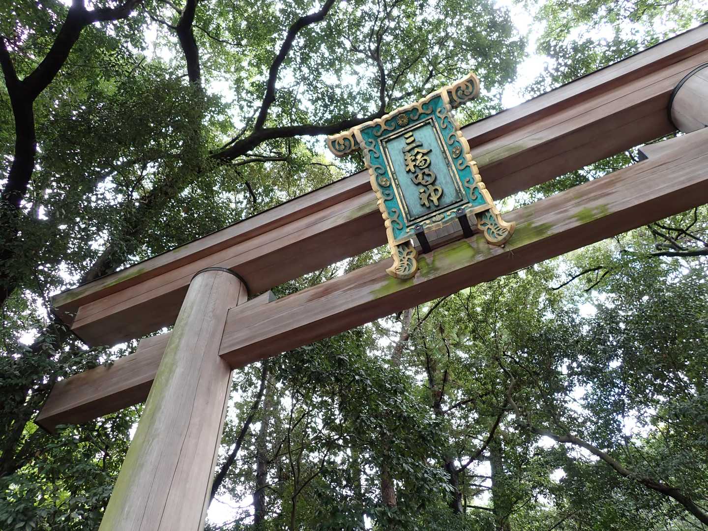 登拝の途中で出会ったのは、かたつむり。
お写真とれなかったので、あそこに生きて、出会えた唯一のいのち、心に留めています。
