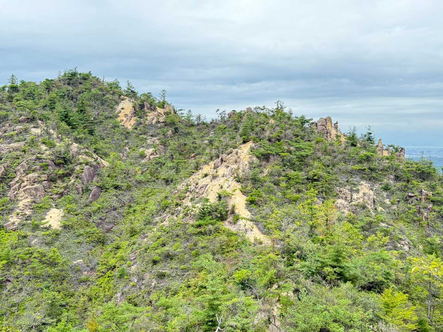 ヒノキの伐採で山が荒れて、昔はハゲ山になったそうです