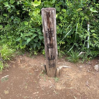 何となく草戸山🤣