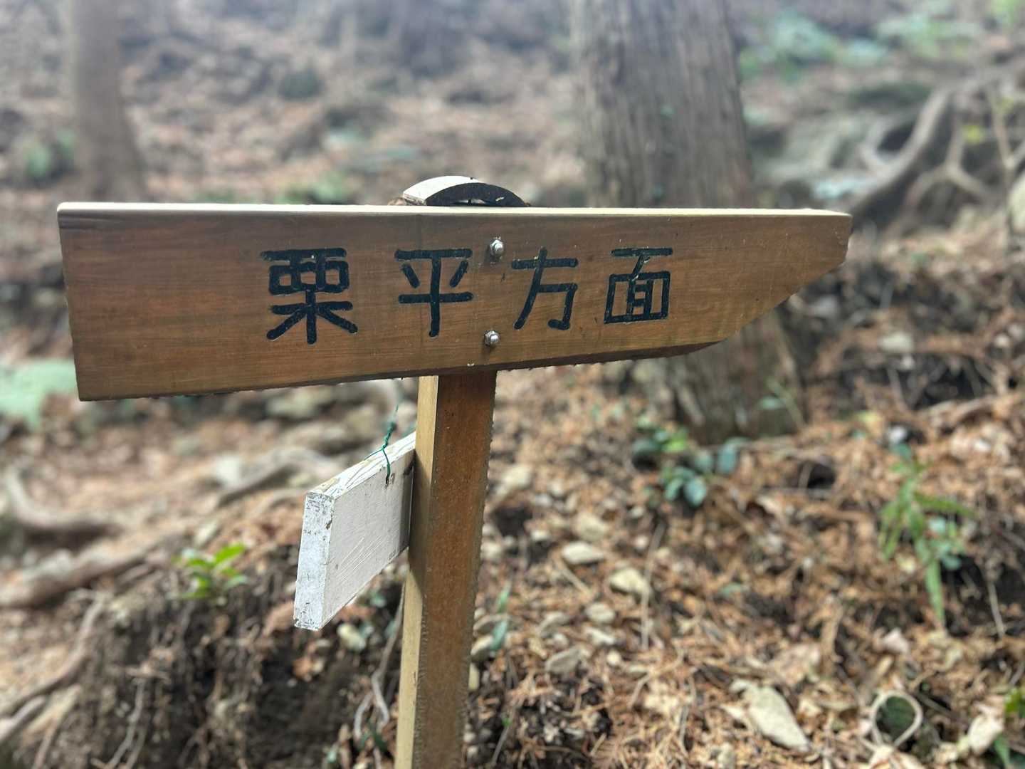 秘境✨栗平集落へ