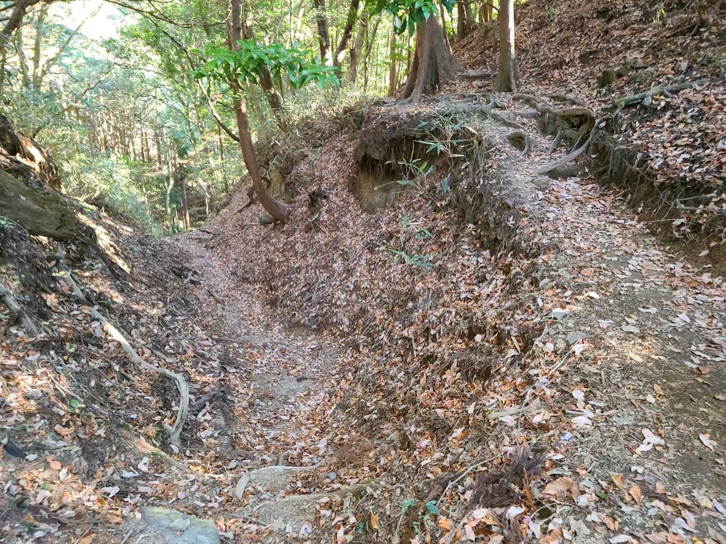 今日は左側の新道に