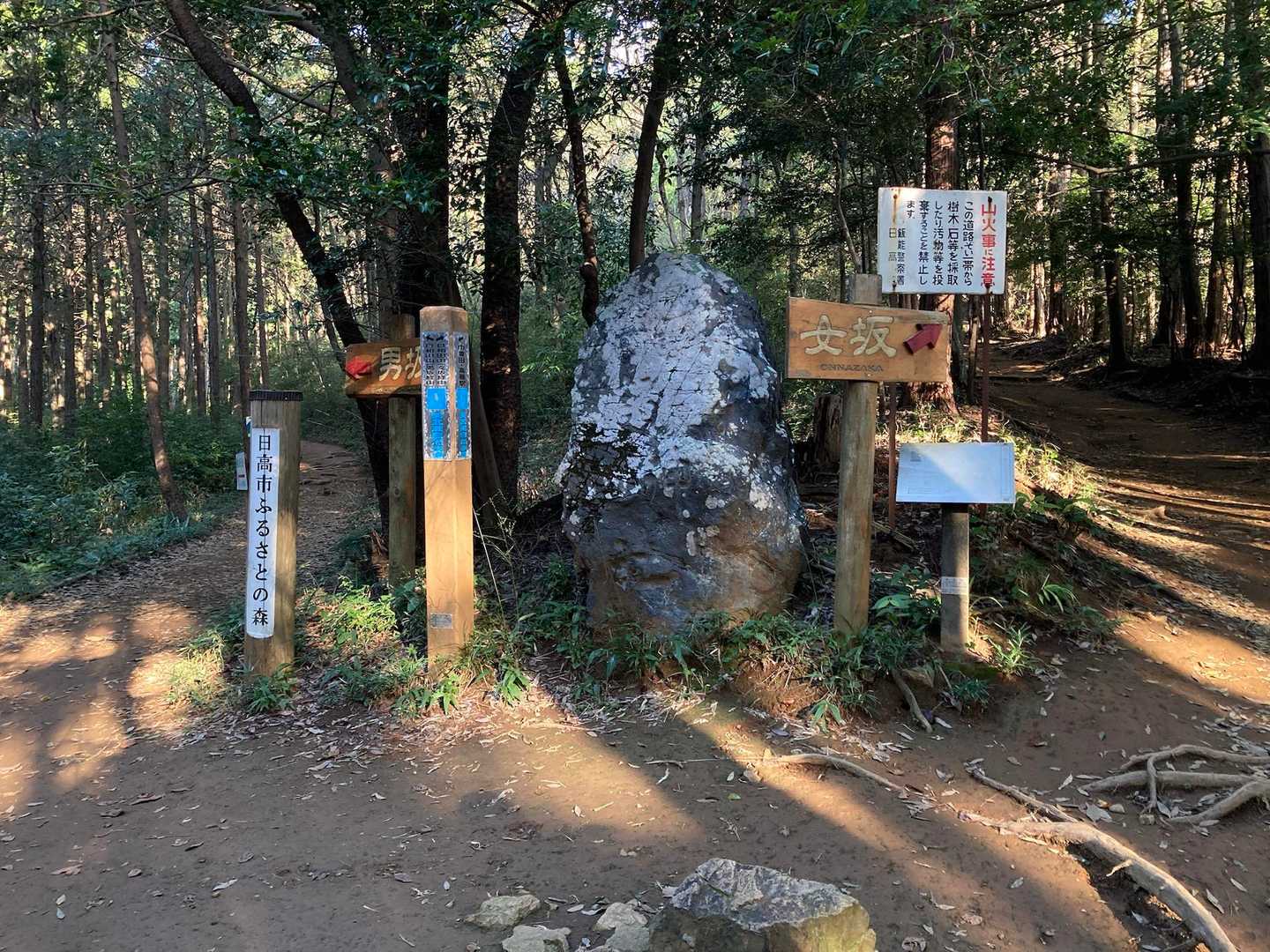 今回登るのは
男坂or女坂？