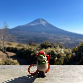 ひと休み🐸☕️