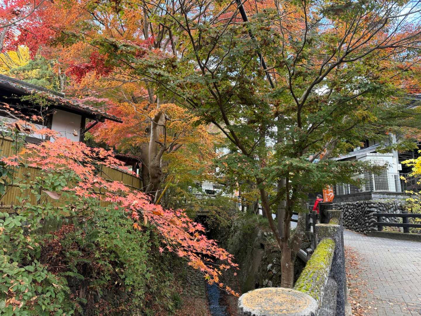 高尾山口8:40行動開始
参道のもみじ🍁もきれいです。