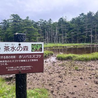 直ぐにここ。
