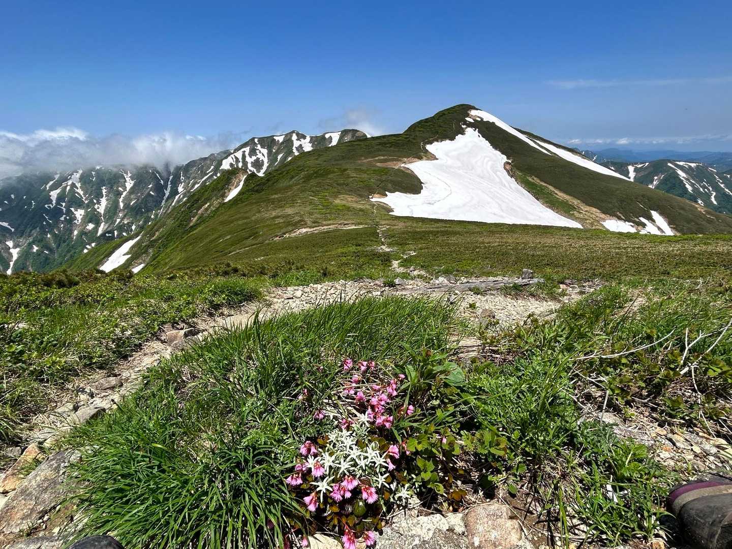 日暮沢〜大朝日岳ステキな✨朝日連峰周回⛰️ / misaの登山データ