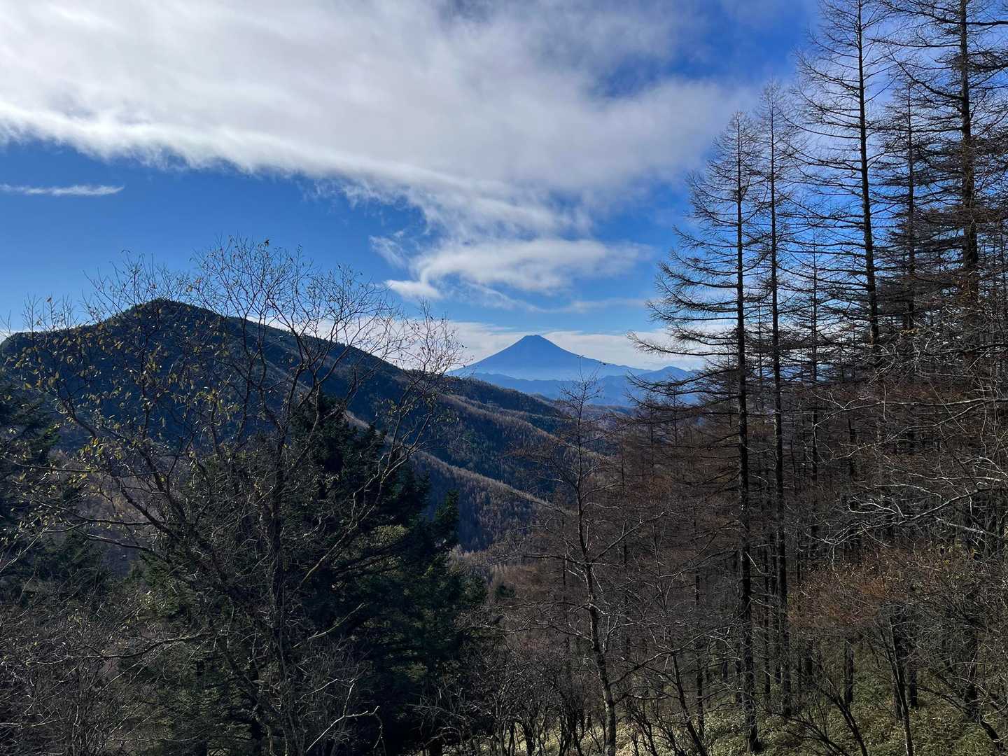 冠雪は無いですね。