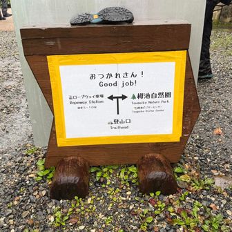 ゴーーーーール❣️
歩き🚶‍♀️きれた😭


最後の最後に右足をドボンして靴の中までグショグショにしてしまった😰
靴下の替えは持ってきたケド
靴は持ってきてないよー😖

