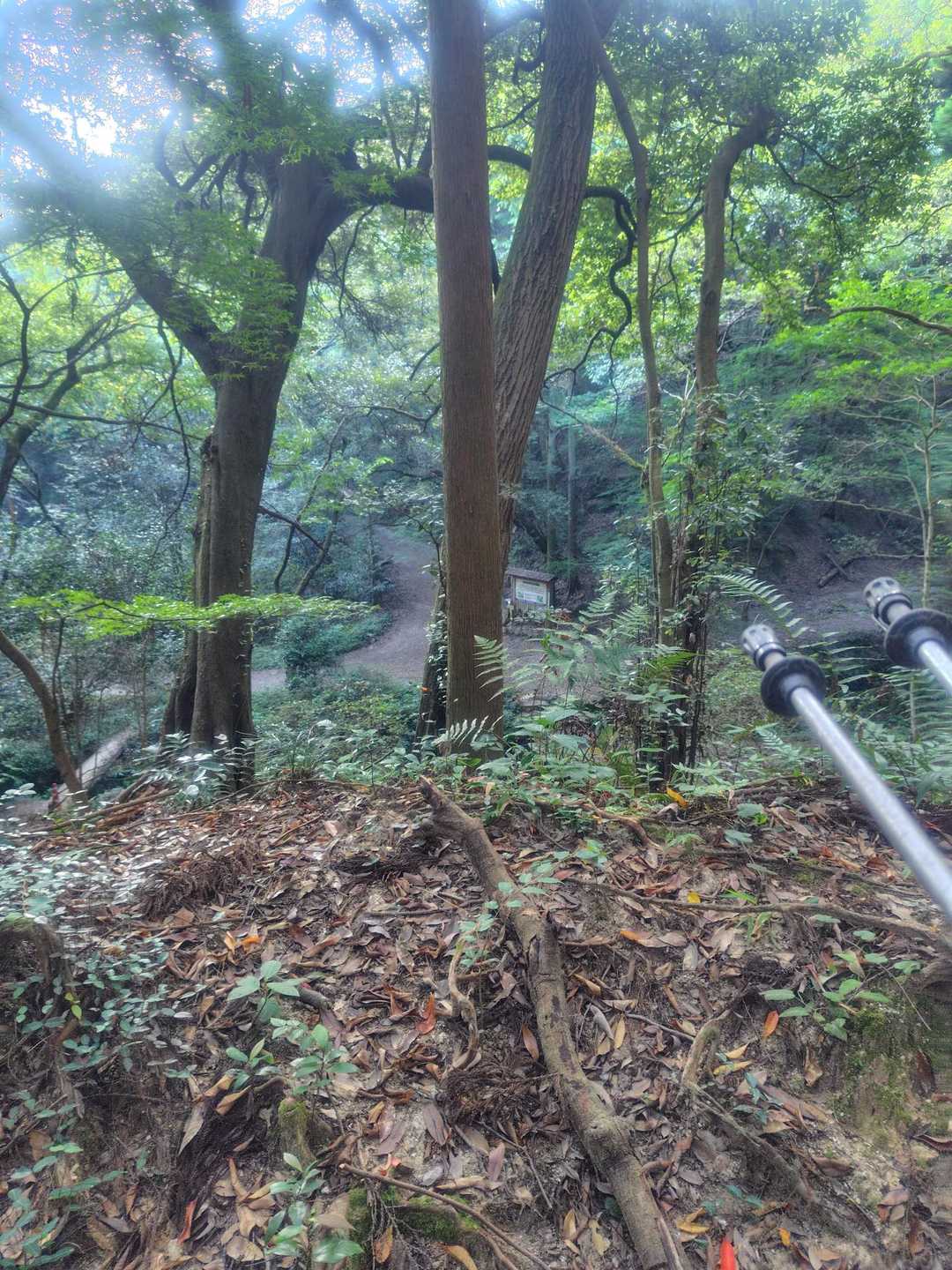 原田駅-基山-奥天拝-天拝山-天拝山登山口 縦走コースの写真