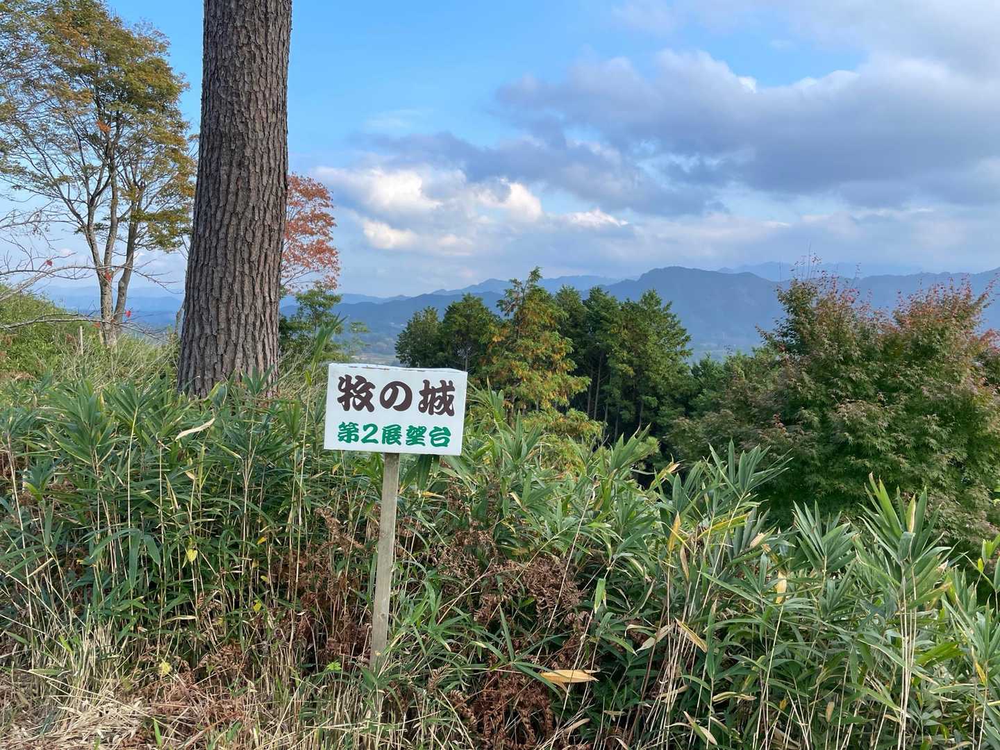 第二展望台
ぐるっと見渡せます
そして、カラス🐦‍⬛がいっぱい飛んでいます