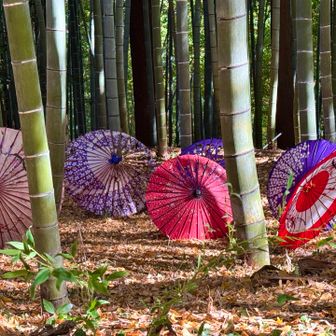 竹寺へ戻って来ました
