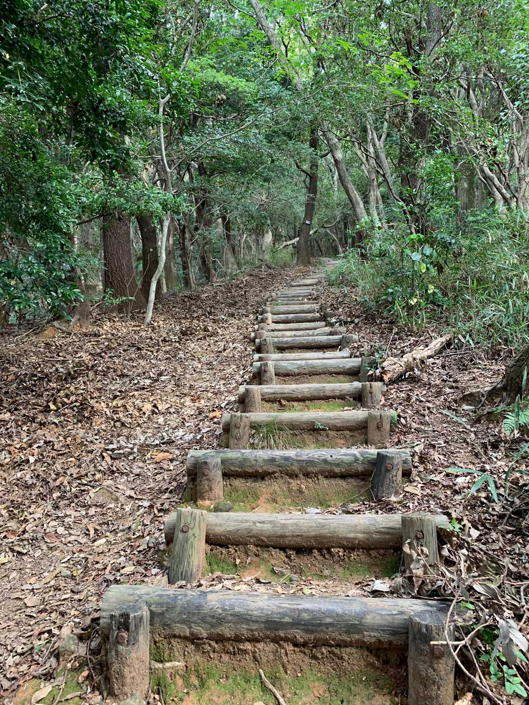 小文字山 往復コースの写真
