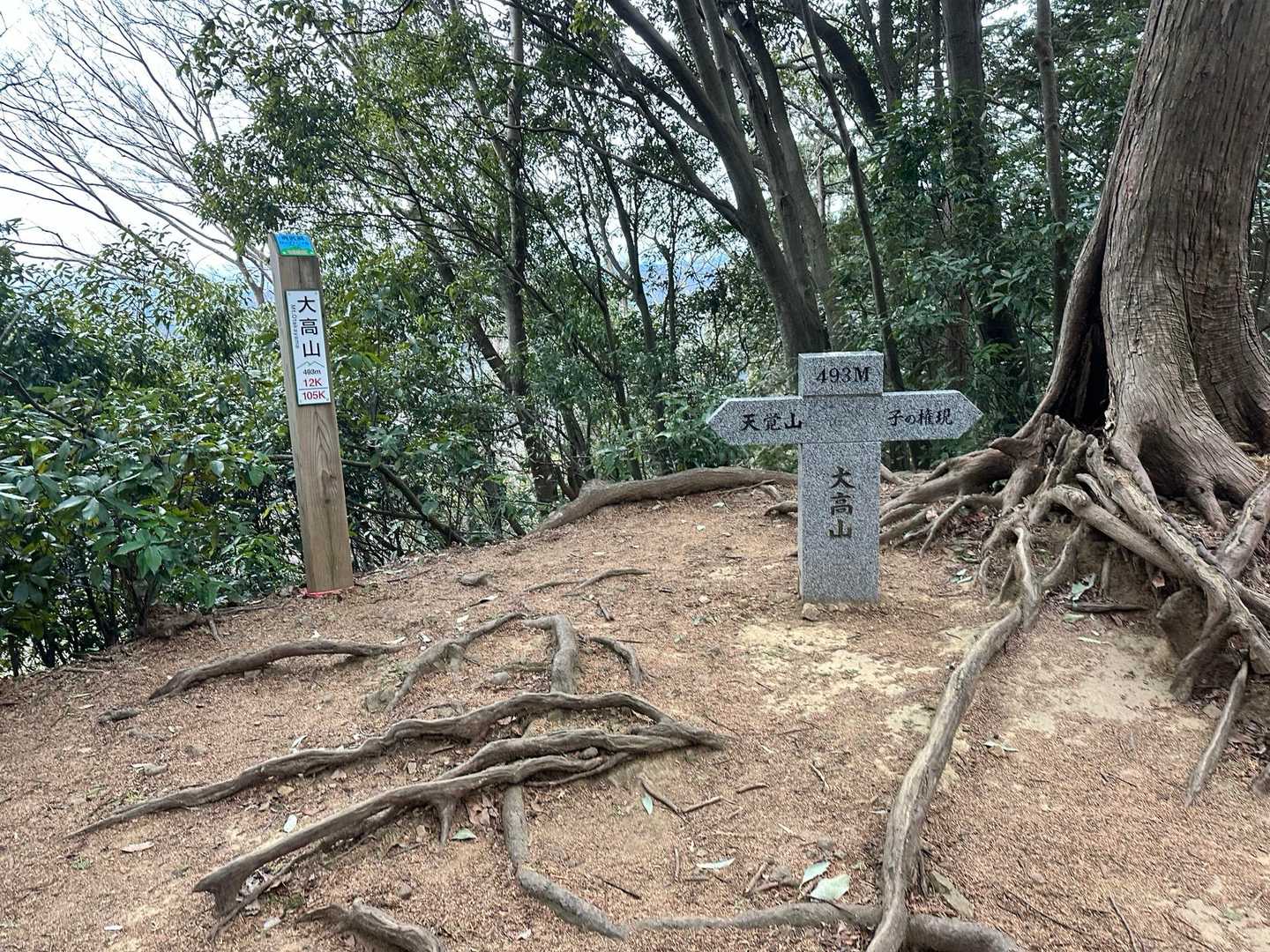 大高山着いた！