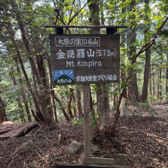 大原の里10名山。あと2、3で制覇のはず👍