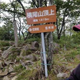 ナントカ晴れないとカッパも羽織り、暫し待つも、冷たい北風に耐えられず下山。