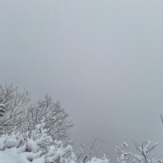 何も見えませんね(^_^;)