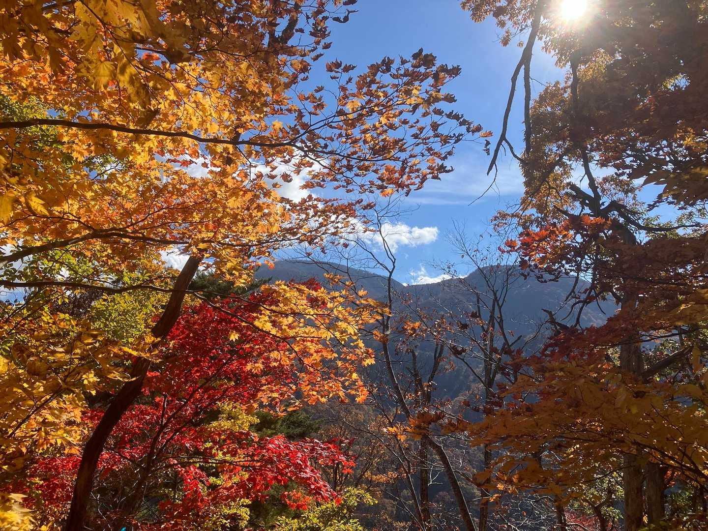 面白山高原駅-北面白山登山入口-三沢山 往復コースの写真