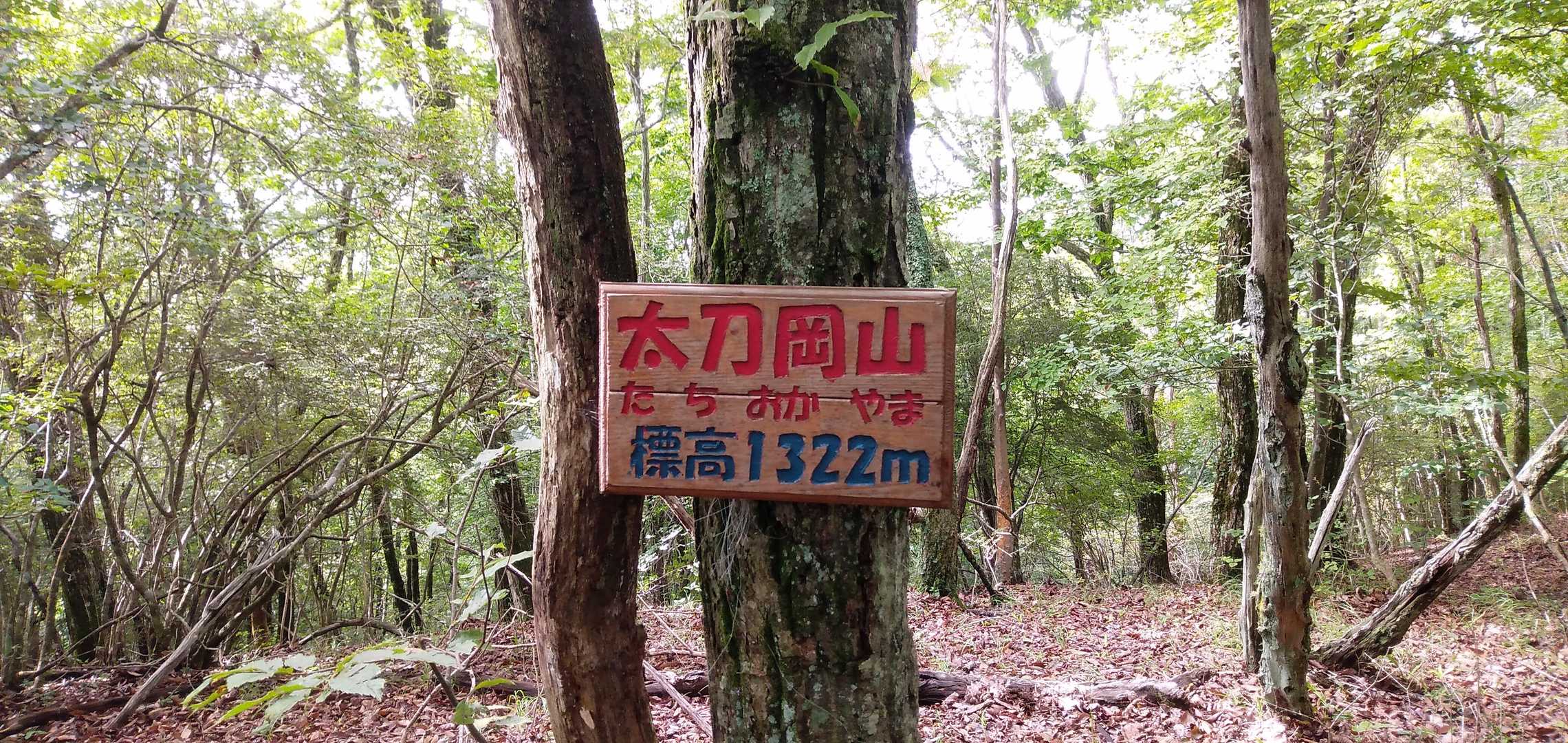 進んで、太刀岡山到着！