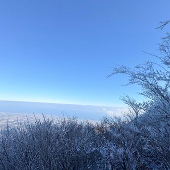 鳩穴分かれからの
「おーい。熊本のみなさーん」
