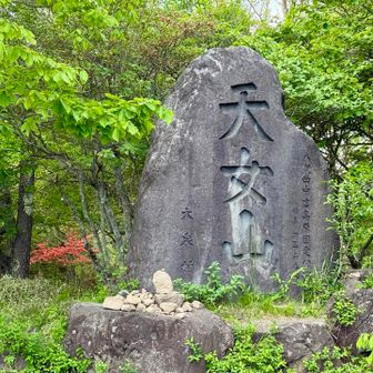 天女山到着
タクシーで美し森に帰りました😊
2500円🚕