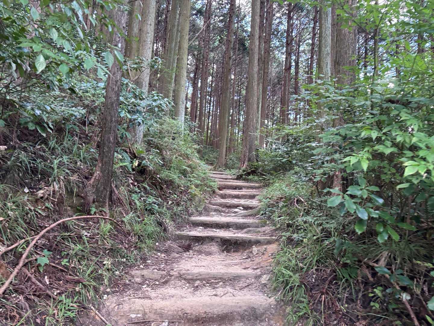 久し振りの　青崩道