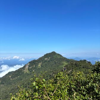 望岳台からかな？滝の沢山までは稜線を伝っていく