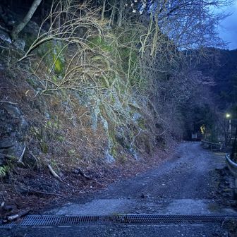 ナイスぅ〜👍
グッドゲームだな。
まるでバンナとマークハント並みのベストバウトやん。
私が送ったパスをしっかり決めるとか、さすが寸又峡ニキは絶大に信頼できるわ。
この藪尾根をキャリーして下界に戻った勝ち確の瞬間はさすがに脳汁ドバドバ噴き出た。
ドババーバ・バーババ
ドヴァノ・ドヴァーナ
って感じで何とは言わんが汁でまくりだわ。
いや、そういう意味じゃなくて。

最後は暗くて下降点が見つからなくて、やけくそで崖を無理矢理降りた。
あと15分巻ければ日没に間に合ったな。
そういう意味では今回は私の負けか。
素直にポツダム宣言を受諾しよう。
敗因は藪で苦戦したからか。
リスナー：寝坊だろ